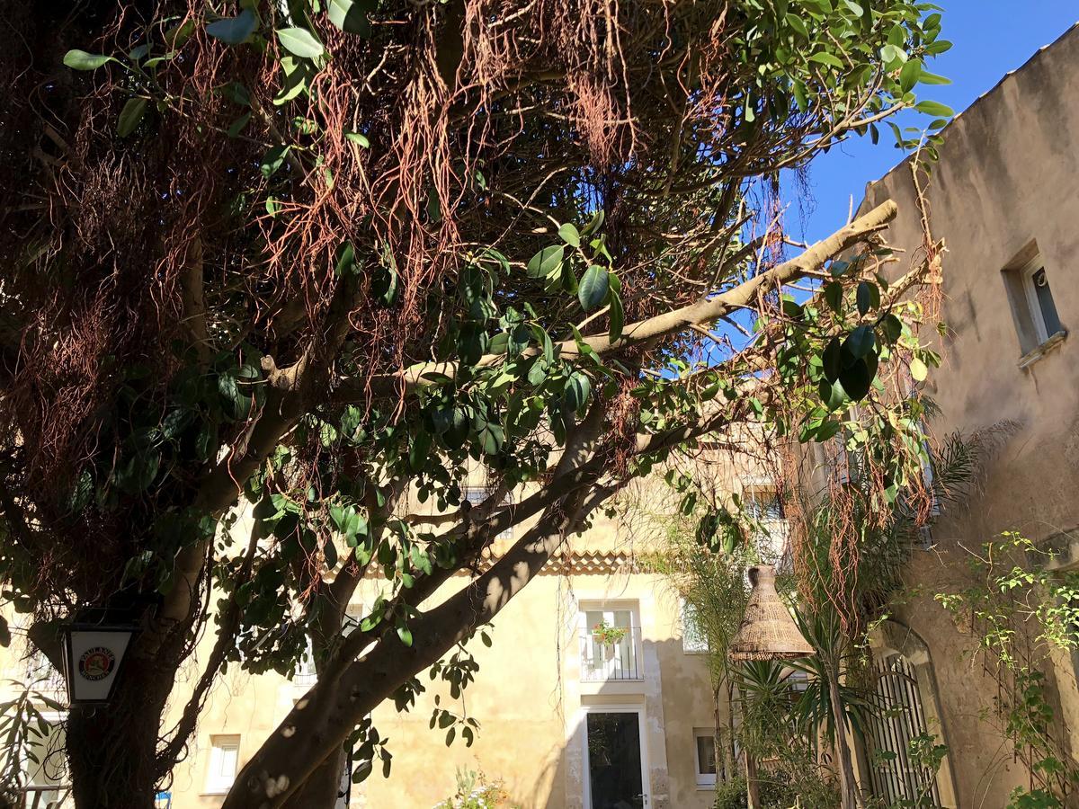 Residence Ortigia 锡拉库扎 外观 照片